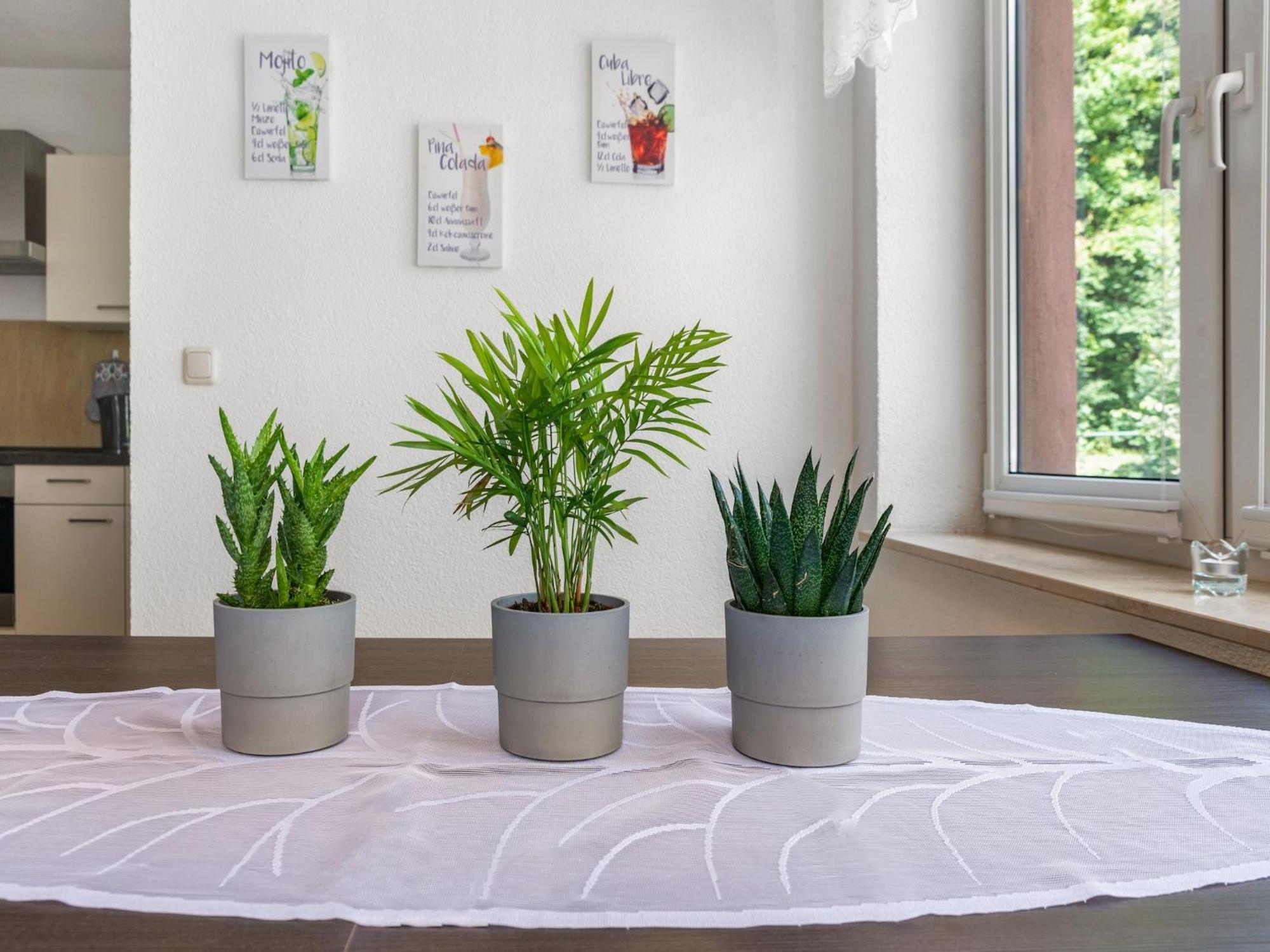 Modern Apartment In Sebnitz With A Terrace In Sebnitz Esterno foto